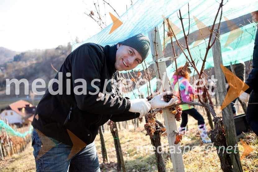 Nino Klinger, SNS10. Linina trgatev, vinogradništvo Doppler
