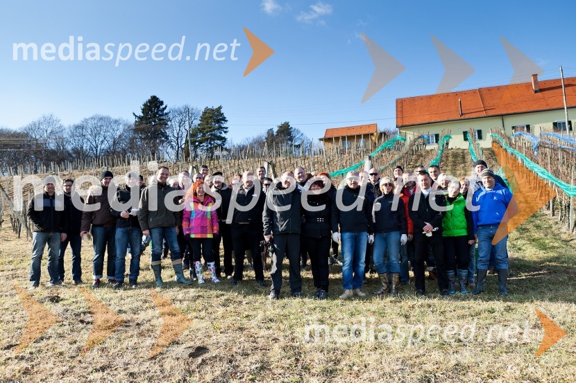 10. Linina trgatev, vinogradništvo Doppler