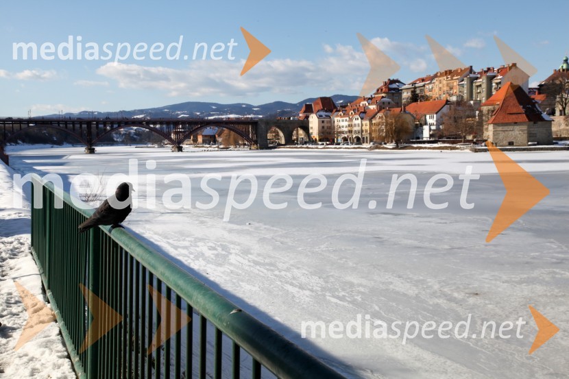 Reka Drava, MariborZasnežena in poledenela reka Drava v Mariboru