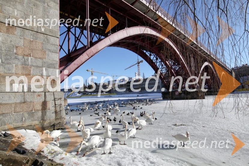 Reka Drava, MariborZasnežena in poledenela reka Drava v Mariboru
