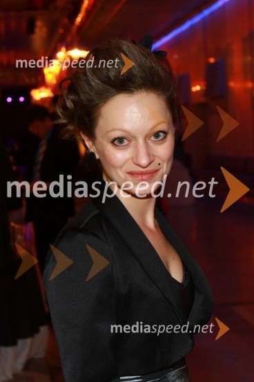 Viktorji 2011, rdeča preproga in VIP dogajanje