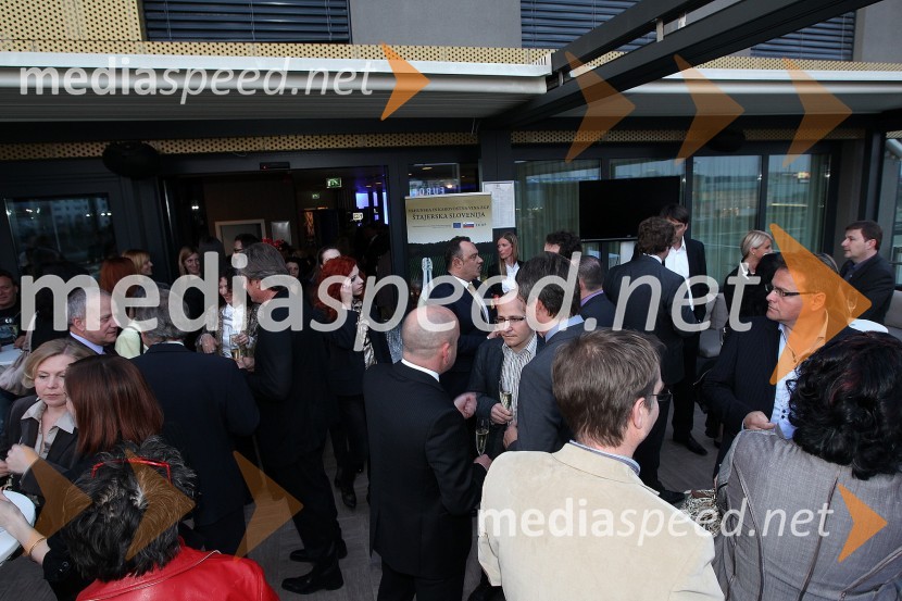 Zaključna prireditev Guest Star 2011 - Izbor tujih osebnosti leta