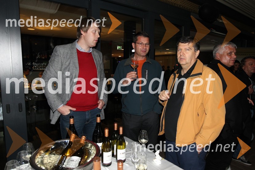 Zaključna prireditev Guest Star 2011 - Izbor tujih osebnosti leta