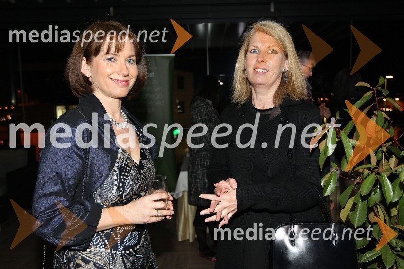 Zaključna prireditev Guest Star 2011 - Izbor tujih osebnosti leta