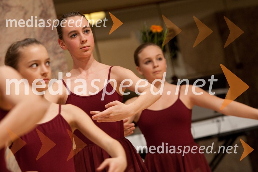 BaletkaDobrodelni dogodek Lions kluba Viva