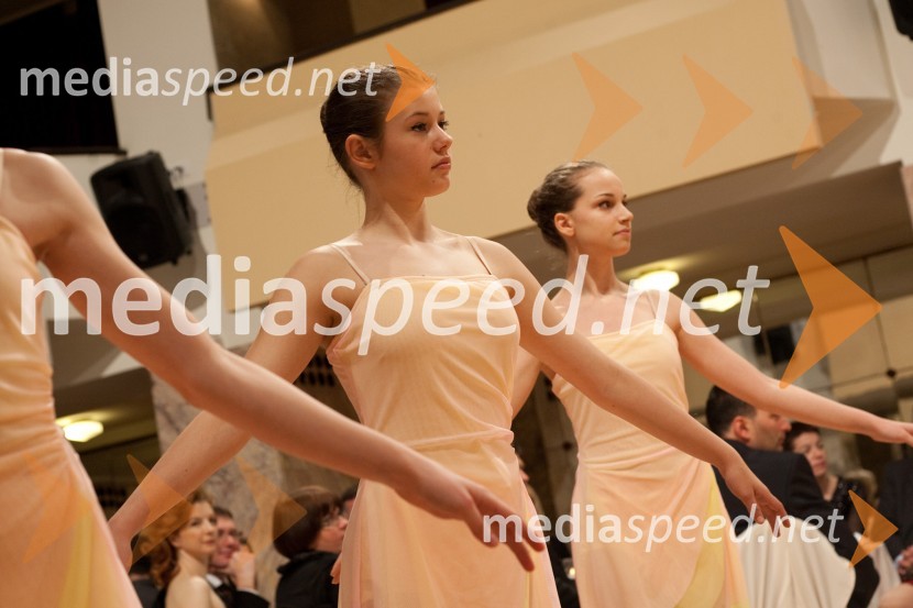 BaletkeDobrodelni dogodek Lions kluba Viva