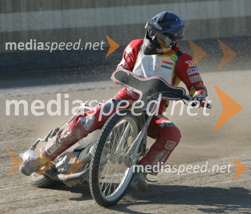 Speedwayist Matej FerjanMatej Ferjan, speedwayist