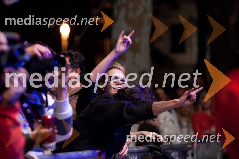 ObiskovalciDan mladosti, koncert Vlada Kreslina z gosti