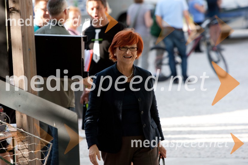 Dr. Danica Purg, direktorica IEDC Poslovna šola BledPoslovni tek trojk 2012