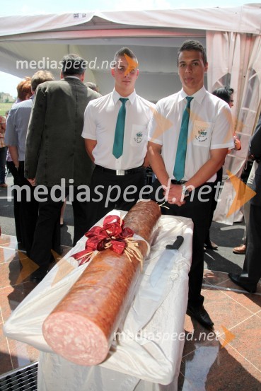 Košaki, otvoritev novega mesnopredelovalnega centra