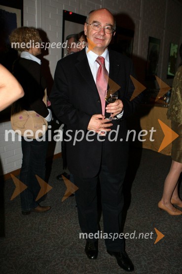 Mitja Rotovnik, generalni direktor Cankarjevega doma17. Liffe filmski festival