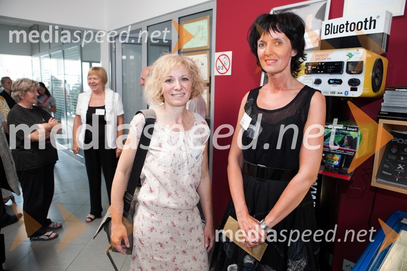 Mateja Krašovec Pogorelčnik, Stories design in…Terra Parzival se prebuja