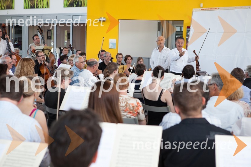 Franc Avsenek, dirigent Camerata Labacensis, Miha Pogačnik, violinist in Kulturni ambasador Republike Slovenije, orkester Camerata Labacensis in obiskovalci	 
Terra Parzival se prebuja