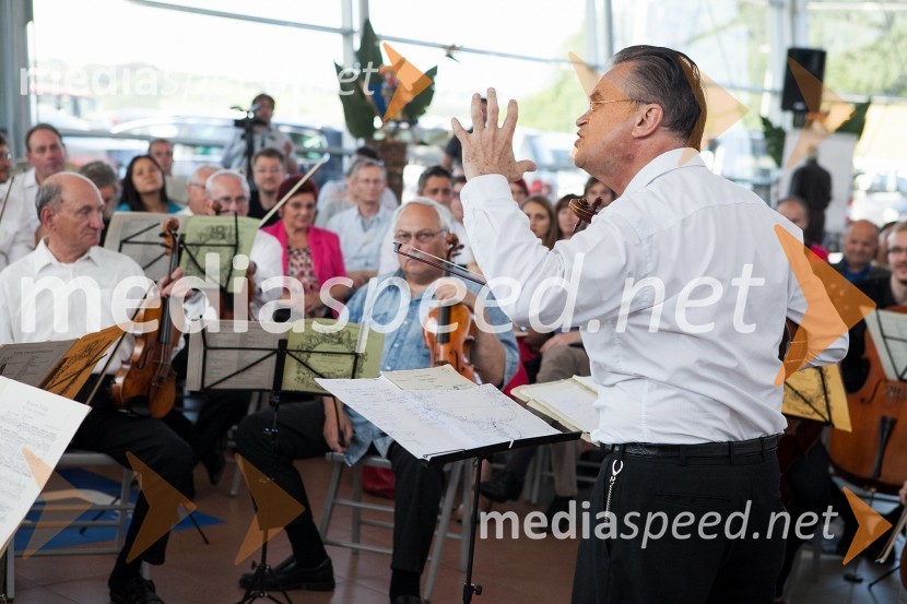 Miha Pogačnik, violinist in Kulturni ambasador Republike SlovenijeTerra Parzival se prebuja