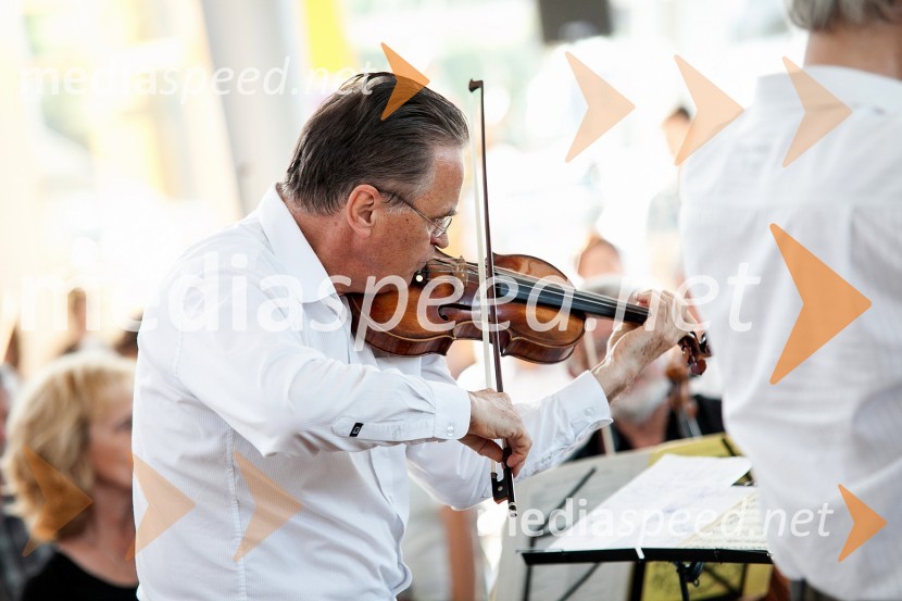 Miha Pogačnik, violinistTerra Parzival se prebuja