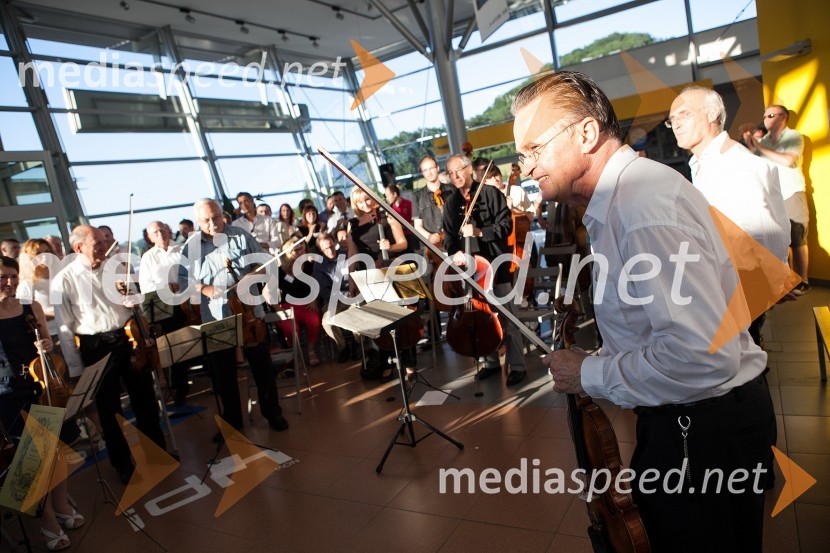Miha Pogačnik, violinist, orkester Camerata Labacensis in obiskovalciTerra Parzival se prebuja