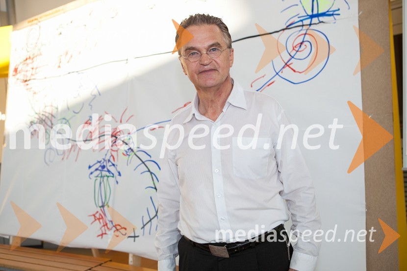 Miha Pogačnik, violinistTerra Parzival se prebuja