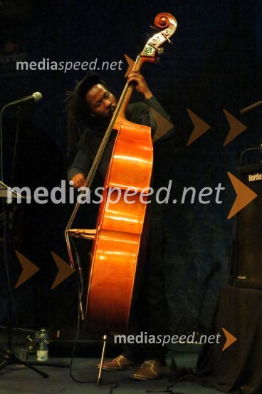 20. Festival Lent, festivalsko dogajanje
