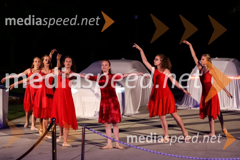 Baletne plesalkeAnin ples 2012