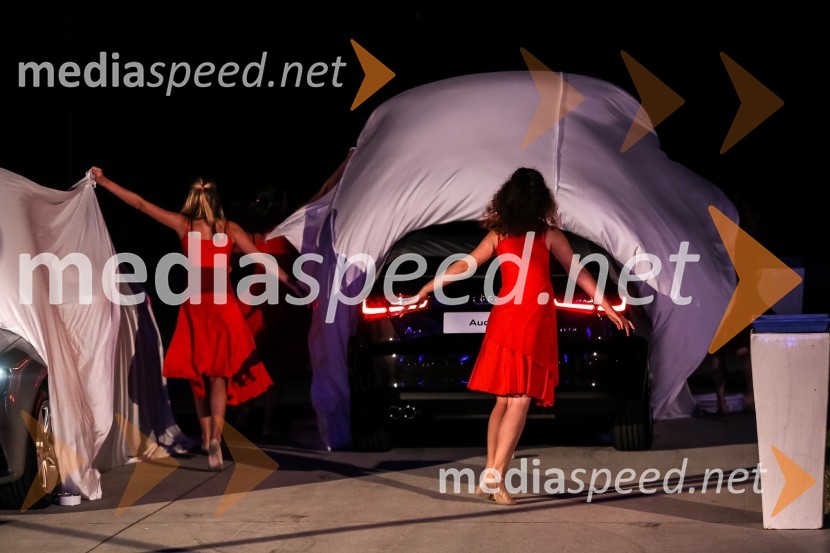 Baletne plesalkeAnin ples 2012