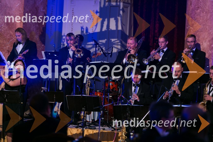 The Moonlighting Orchestra
Anin ples 2012