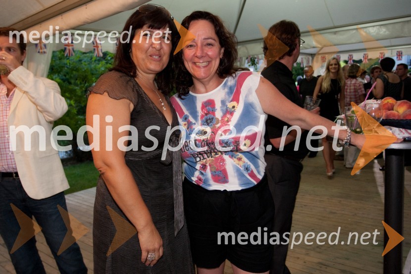 Sprejem britanskega veleposlanika ob otvoritvi Olimpijskih iger v Londonu