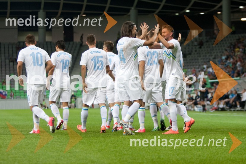 Slovenija – Romunija, nogometna tekma pred začetkom kvalifikacij za SP 2014