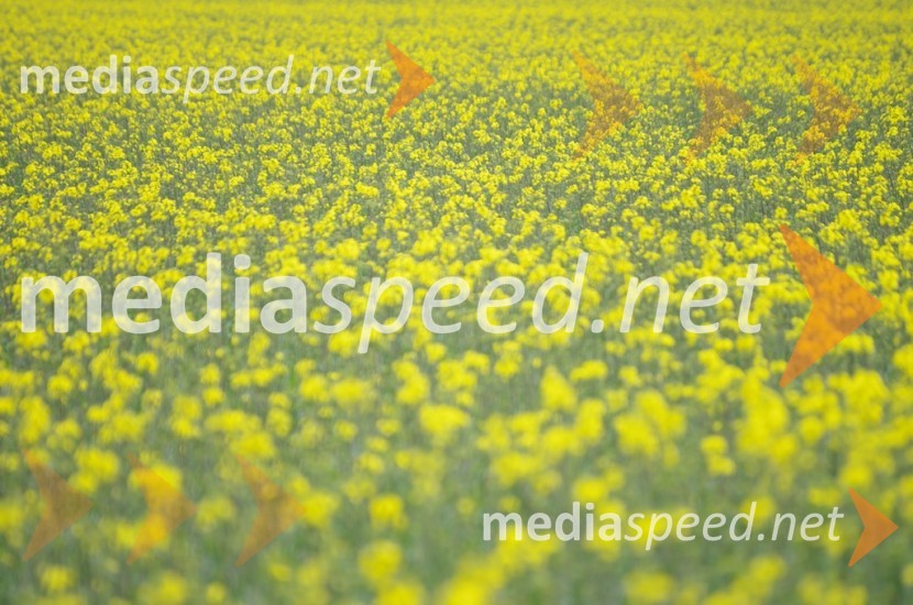 1. fotomaraton MariborNapovedujemo: 1. fotomaraton Maribor