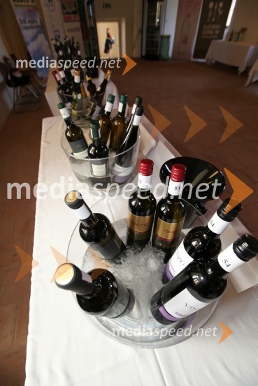 Več kot 100 različnih tramincev3. Salon Traminec 2012