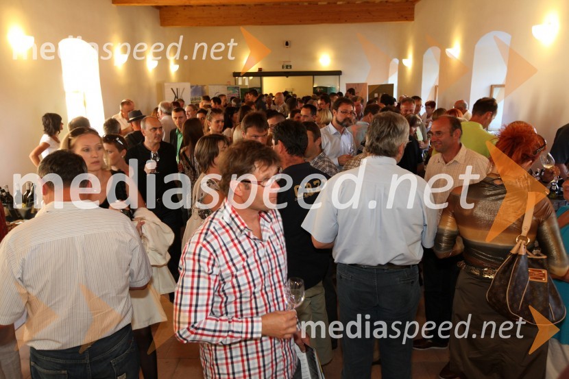 Obiskovalci 3. Salona Traminec3. Salon Traminec 2012