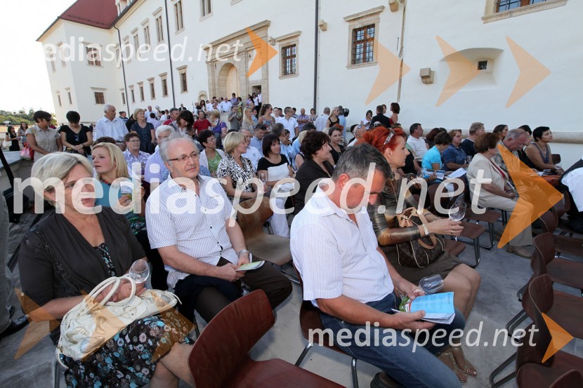 Obiskovalci Salona Traminec3. Salon Traminec 2012