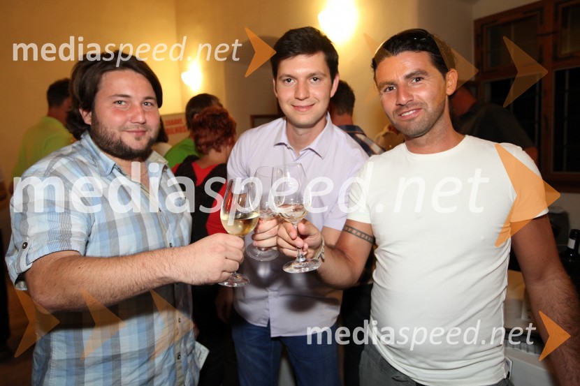 Aleš Kavčič, Simon Vrbanič in Andrej Sedlak3. Salon Traminec 2012