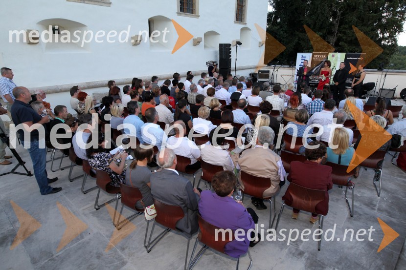 Obiskovalci Salona Traminec3. Salon Traminec 2012