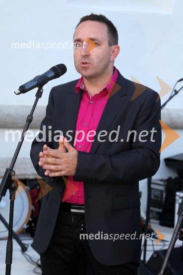 Borut Cvetko, direktor Mediaspeed3. Salon Traminec 2012