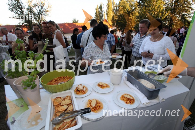 Stojnica Višje strokovna šola za gostinstvo in turizem Maribor3. Salon Traminec 2012