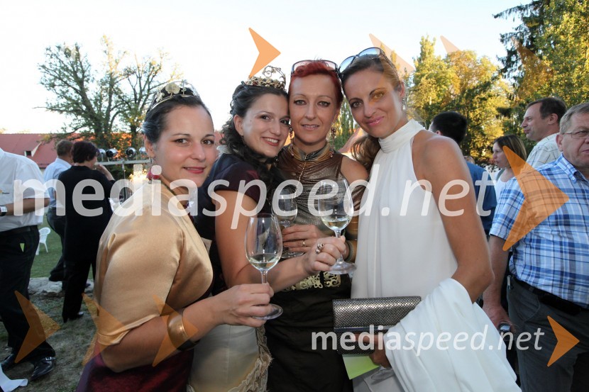 Jerneja Jančar, vinska kraljica Radgonsko - Kapelskih goric, Martina Baškovič, Vinska kraljica Slovenije 2012, Valerija Frangež, Hiša penine Frangež in  Mihaela Margan - Miša, novinarka3. Salon Traminec 2012