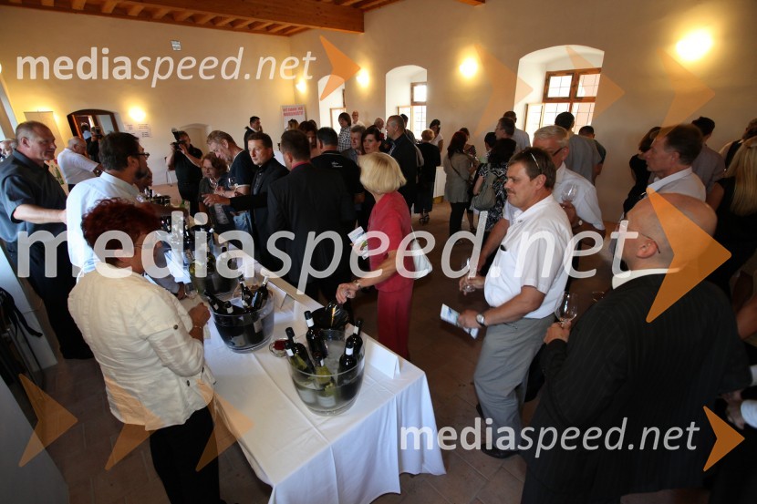 Obiskovalci Salona Traminec3. Salon Traminec 2012