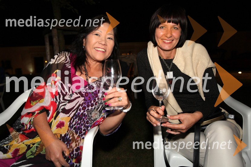 Keiko Mori, Zaria in ...3. Salon Traminec 2012