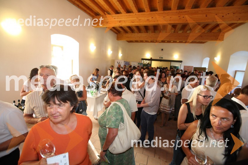 Obiskovalci Salona Traminec3. Salon Traminec 2012