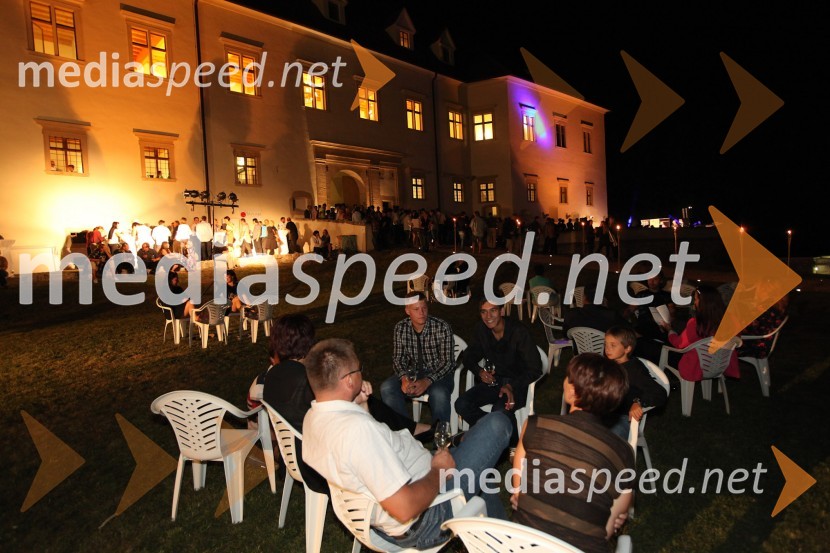 Obiskovalci 3. Salona Traminec3. Salon Traminec 2012