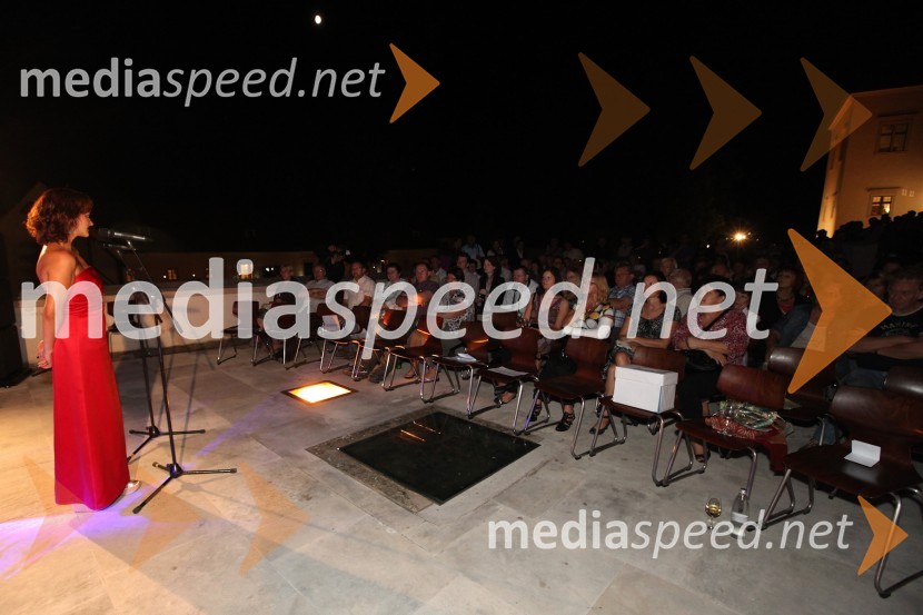 Obiskovalci Salona Traminec3. Salon Traminec 2012