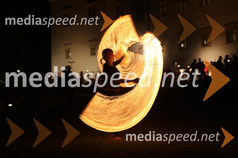 Neža Cigler, poulična umetnica3. Salon Traminec 2012