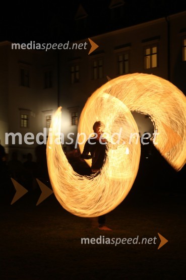 Neža Cigler, poulična umetnica3. Salon Traminec 2012