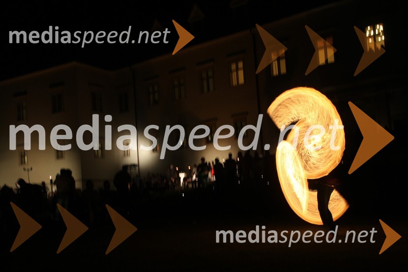 Neža Cigler, poulična umetnica3. Salon Traminec 2012