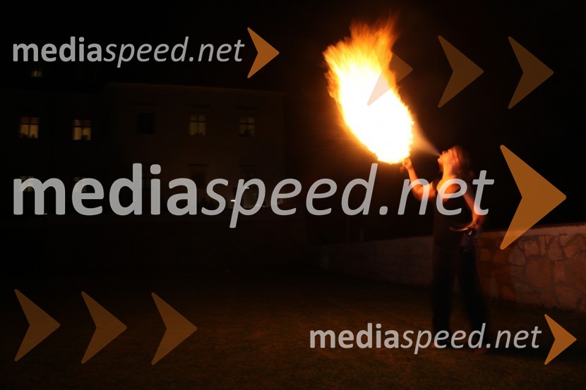 Maja Črešnik, poulična umetnica3. Salon Traminec 2012