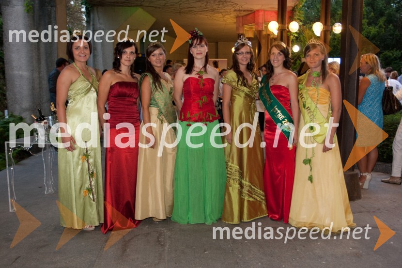 Tina Rajh, 2. cerkvenjaška vinska kraljica, Tjaša Metelko, svičkova princesa 2012, Špela Borko, kogovska vinska kraljica,  Sanja Ribolica, kraljica češenj, Monika Rebernišek, 4. ptujska vinska kraljica, Tina Lakoseljac,  vinska kraljica Slovenske Istre 2011 in Jana Drnovšček, kraljica rebuleŽenske in vino Slovenija