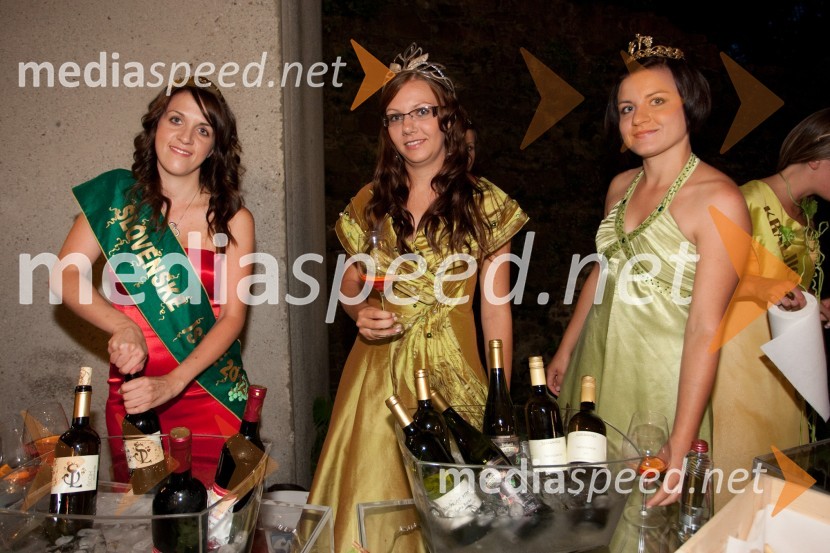 Tina Lakoseljac, vinska kraljica Slovenske Istre 2011, Monika Rebernišek, 4. ptujska vinska kraljica in Tina Rajh, 2. cerkvenjaška vinska kraljicaŽenske in vino Slovenija