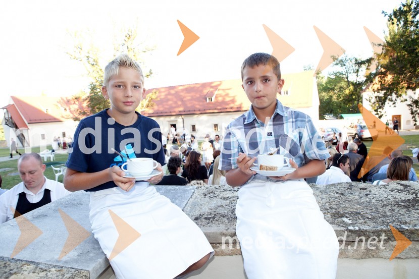 3. Salon Traminec 2012