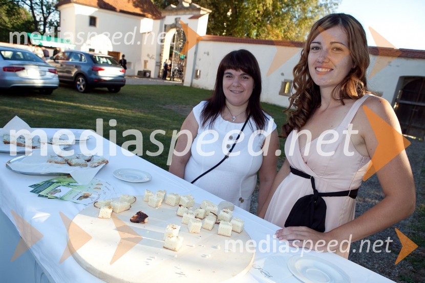 3. Salon Traminec 2012