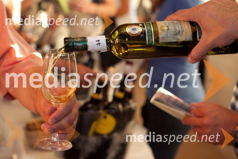 3. Salon Traminec 2012